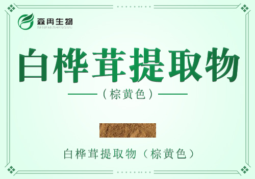 白桦茸提取物